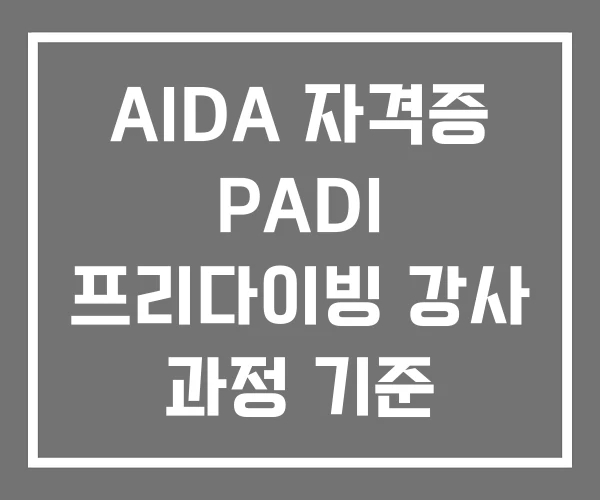 AIDA 자격증 PADI 프리다이빙 강사 과정 기준
