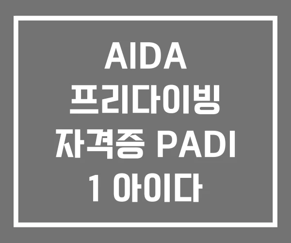 AIDA 프리다이빙 자격증 PADI 1 아이다 레벨2 AIDA 프리다이빙 자격증 PADI 1 아이다 레벨2