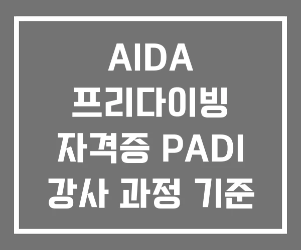 AIDA 프리다이빙 자격증 PADI 강사 과정 기준