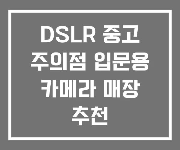 DSLR 중고 주의점 입문용 카메라 매장 추천
