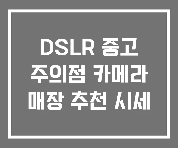 DSLR 중고 주의점 카메라 매장 추천 시세