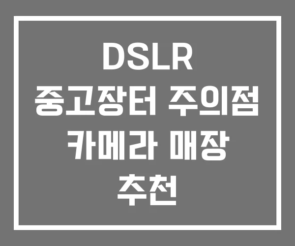 DSLR 중고장터 주의점 카메라 매장 추천