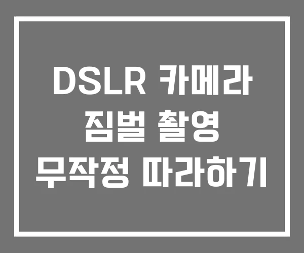 DSLR 카메라 짐벌 촬영 무작정 따라하기
