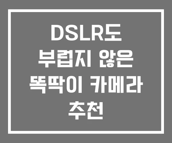 DSLR도 부럽지 않은 똑딱이 카메라 추천 DSLR도 부럽지 않은 똑딱이 카메라 추천