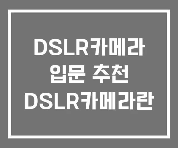 DSLR카메라 입문 추천 DSLR카메라란