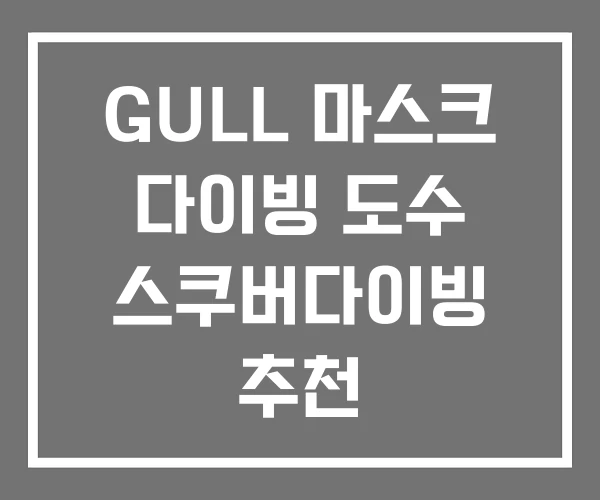 GULL 마스크 다이빙 도수 스쿠버다이빙 추천