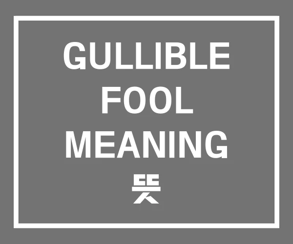 GULLIBLE FOOL MEANING 뜻