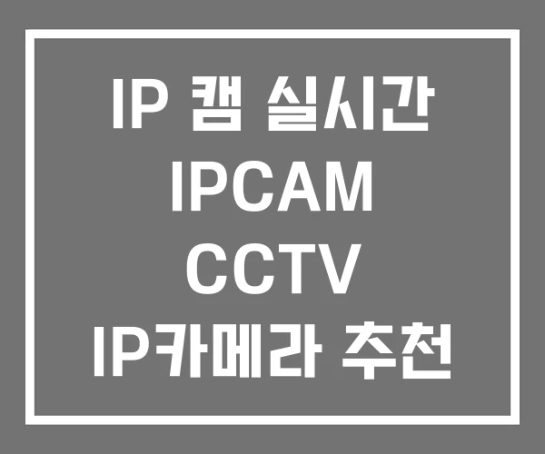 IP 캠 실시간 IPCAM CCTV IP카메라 추천