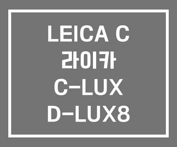 LEICA C 라이카 C-LUX D-LUX8 케이스