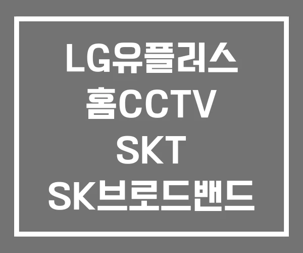 LG유플러스 홈CCTV SKT SK브로드밴드