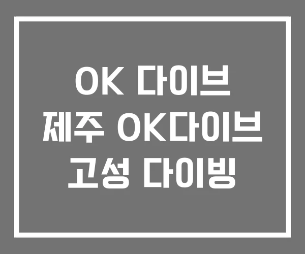OK 다이브 제주 OK다이브 고성 다이빙
