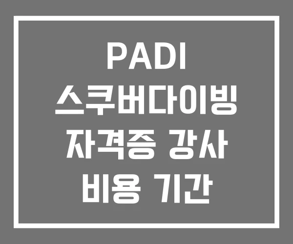 PADI 스쿠버다이빙 자격증 강사 비용 기간