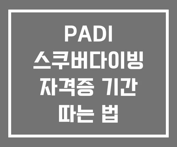 PADI 스쿠버다이빙 자격증 기간 따는 법