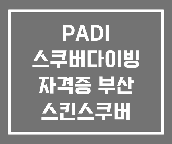 PADI 스쿠버다이빙 자격증 부산 스킨스쿠버
