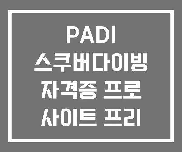 PADI 스쿠버다이빙 자격증 프로 사이트 프리