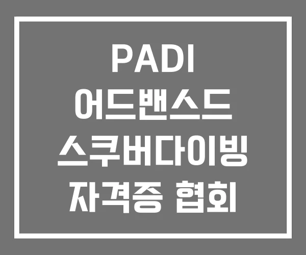 PADI 어드밴스드 스쿠버다이빙 자격증 협회