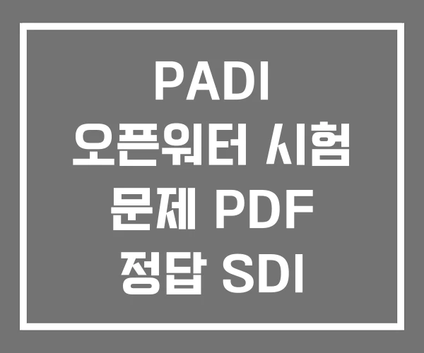 PADI 오픈워터 시험 문제 PDF 정답 SDI