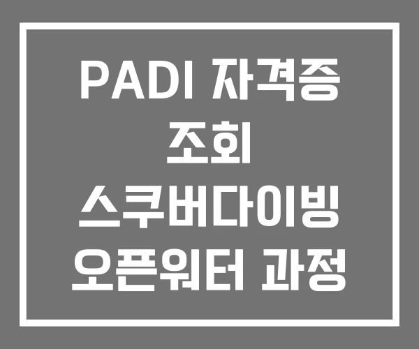 PADI 자격증 조회 스쿠버다이빙 오픈워터 과정