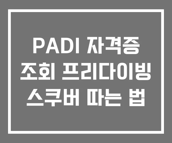 PADI 자격증 조회 프리다이빙 스쿠버 따는 법