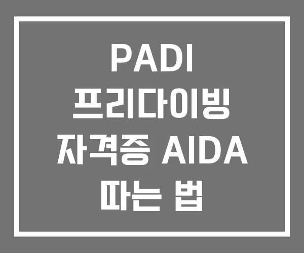 PADI 프리다이빙 자격증 AIDA 따는 법