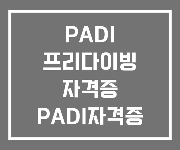 PADI 프리다이빙 자격증 PADI자격증 종류 패디