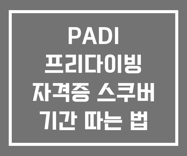 PADI 프리다이빙 자격증 스쿠버 기간 따는 법