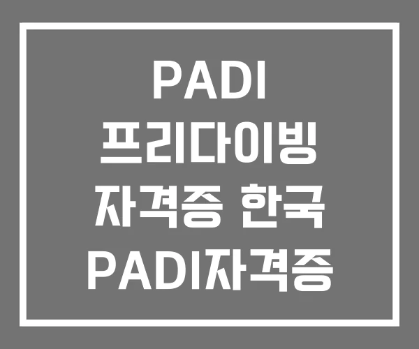 PADI 프리다이빙 자격증 한국 PADI자격증 종류
