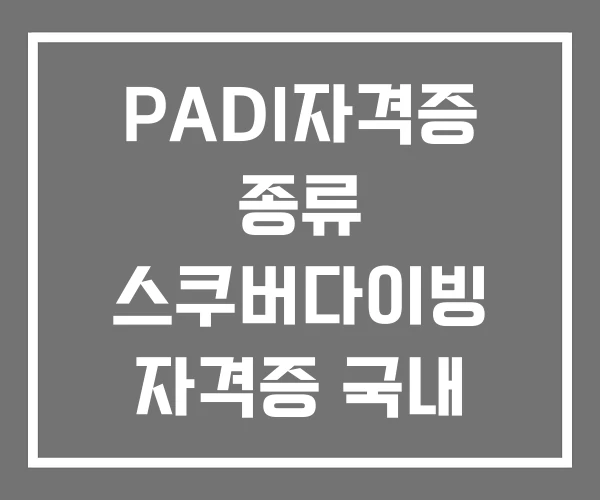 PADI자격증 종류 스쿠버다이빙 자격증 국내 기간
