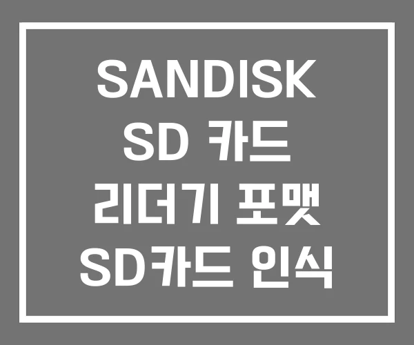 SANDISK SD 카드 리더기 포맷 SD카드 인식