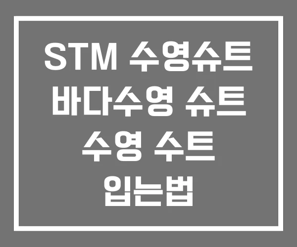 STM 수영슈트 바다수영 슈트 수영 수트 입는법