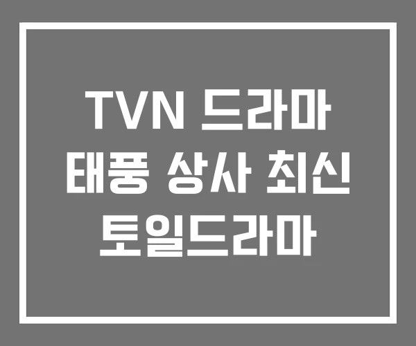 TVN 드라마 태풍 상사 최신 토일드라마
