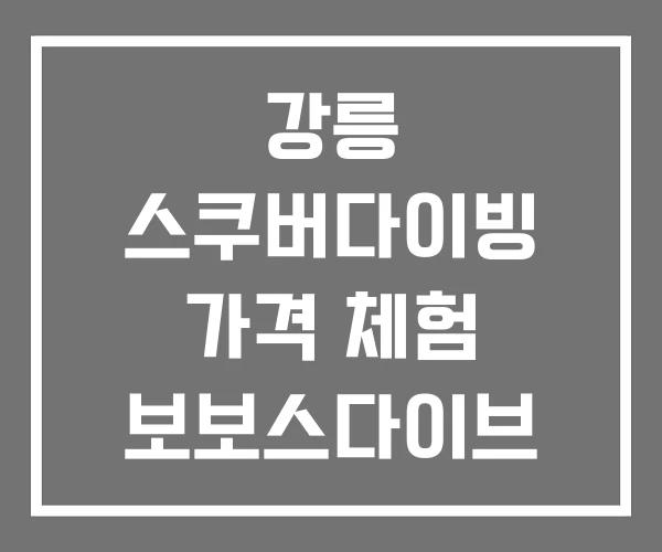 강릉 스쿠버다이빙 가격 체험 보보스다이브