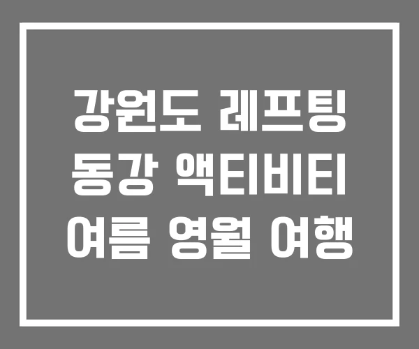 강원도 레프팅 동강 액티비티 여름 영월 여행