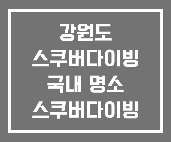 강원도 스쿠버다이빙 국내 명소 스쿠버다이빙 체험