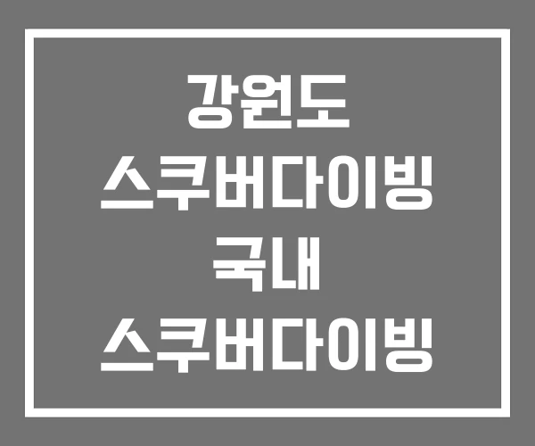 강원도 스쿠버다이빙 국내 스쿠버다이빙 체험 남애