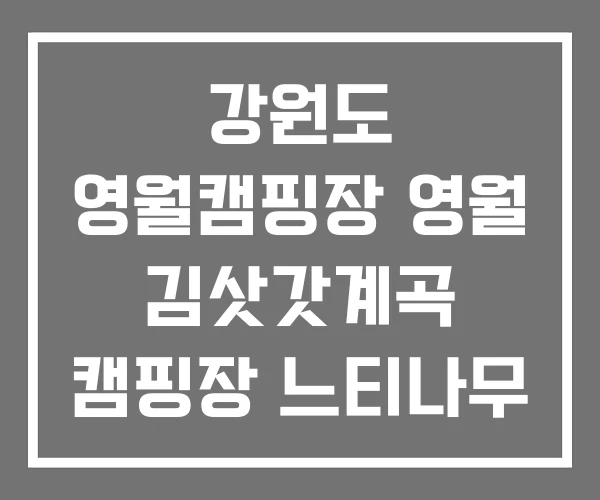 강원도 영월캠핑장 영월 김삿갓계곡 캠핑장 느티나무