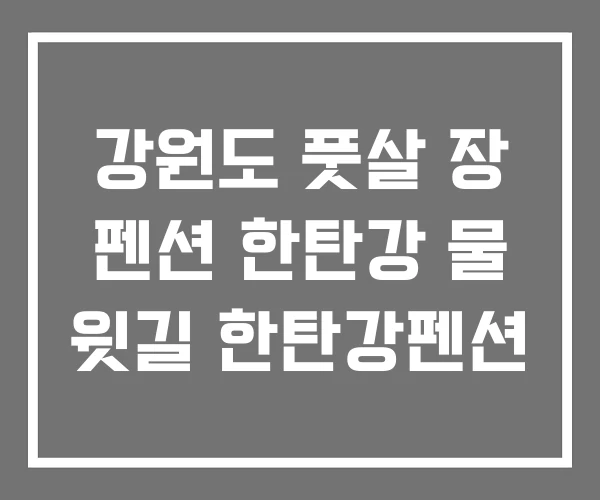 강원도 풋살 장 펜션 한탄강 물 윗길 한탄강펜션