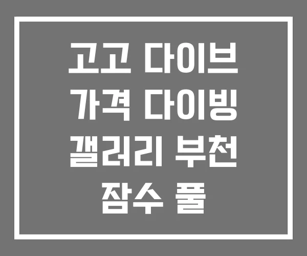 고고 다이브 가격 다이빙 갤러리 부천 잠수 풀