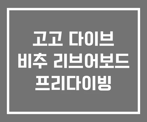 고고 다이브 비추 리브어보드 프리다이빙