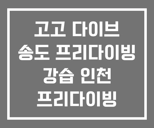 고고 다이브 송도 프리다이빙 강습 인천 프리다이빙