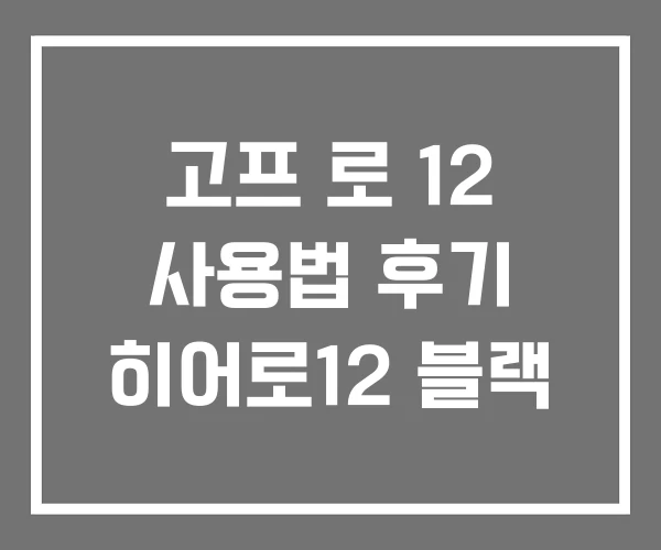 고프 로 12 사용법 후기 히어로12 블랙