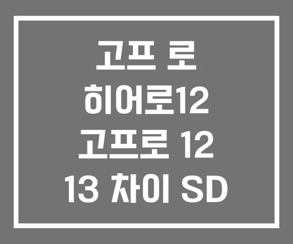 고프 로 히어로12 고프로 12 13 차이 SD 카드