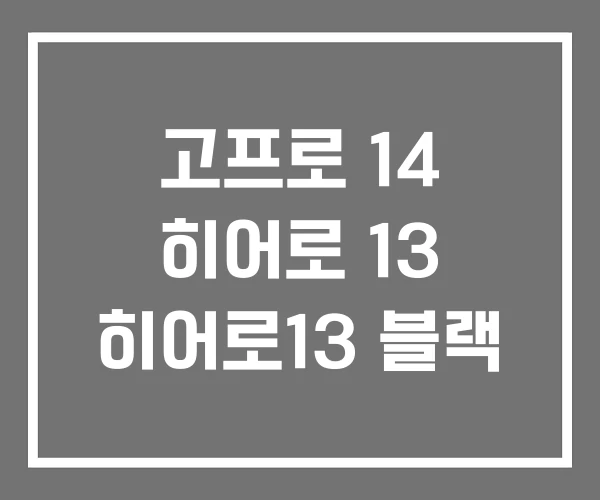 고프로 14 히어로 13 히어로13 블랙