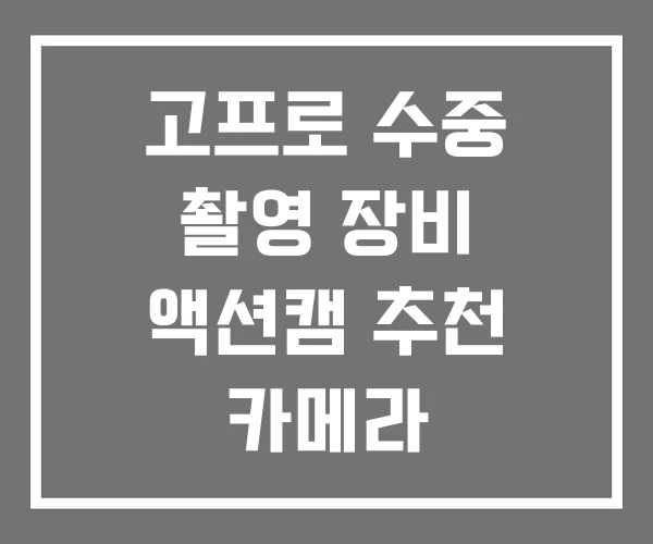 고프로 수중 촬영 장비 액션캠 추천 카메라