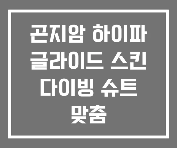 곤지암 하이파 글라이드 스킨 다이빙 슈트 맞춤