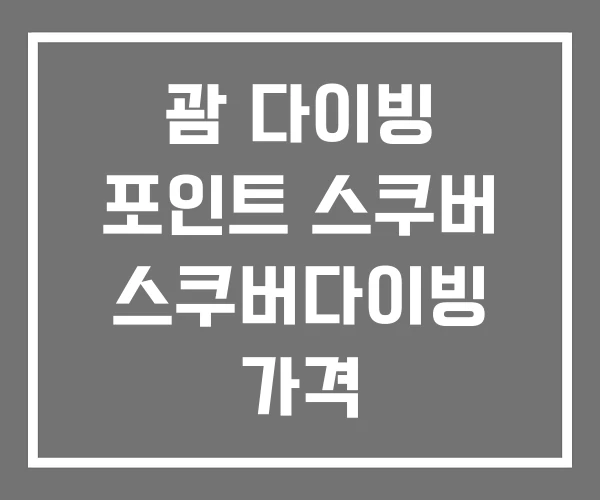 괌 다이빙 포인트 스쿠버 스쿠버다이빙 가격