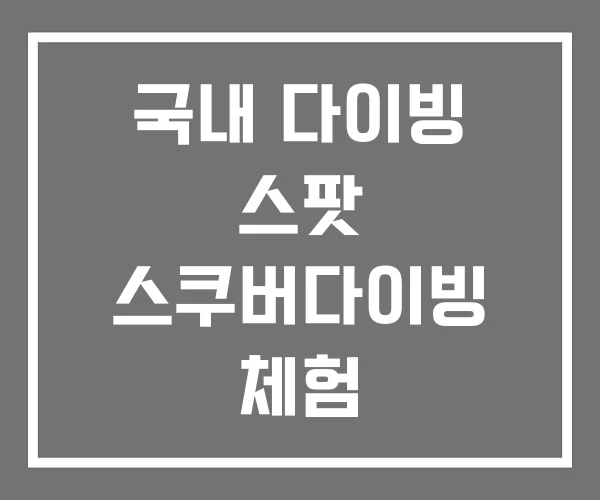 국내 다이빙 스팟 스쿠버다이빙 체험 스킨스쿠버다이빙