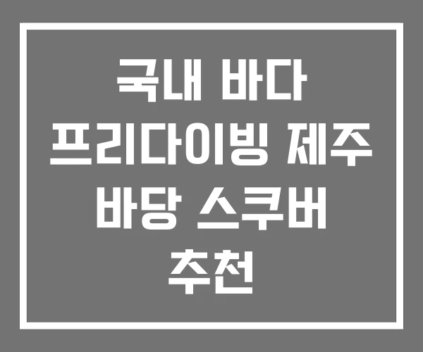국내 바다 프리다이빙 제주 바당 스쿠버 추천