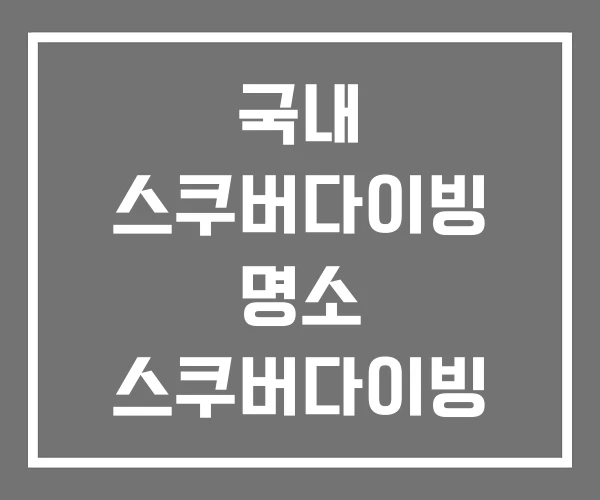 국내 스쿠버다이빙 명소 스쿠버다이빙 체험 남해