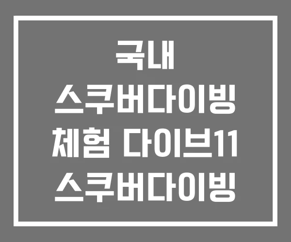 국내 스쿠버다이빙 체험 다이브11 스쿠버다이빙 자격증